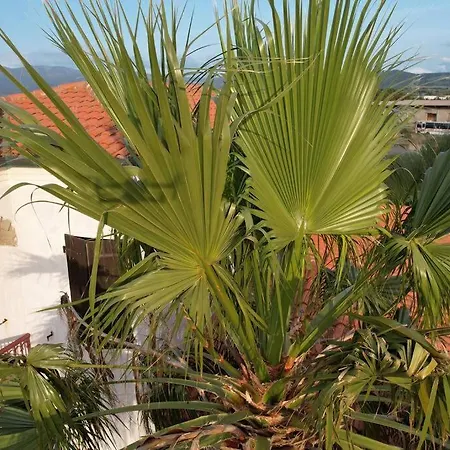 Bilocale Sole Apartamento
